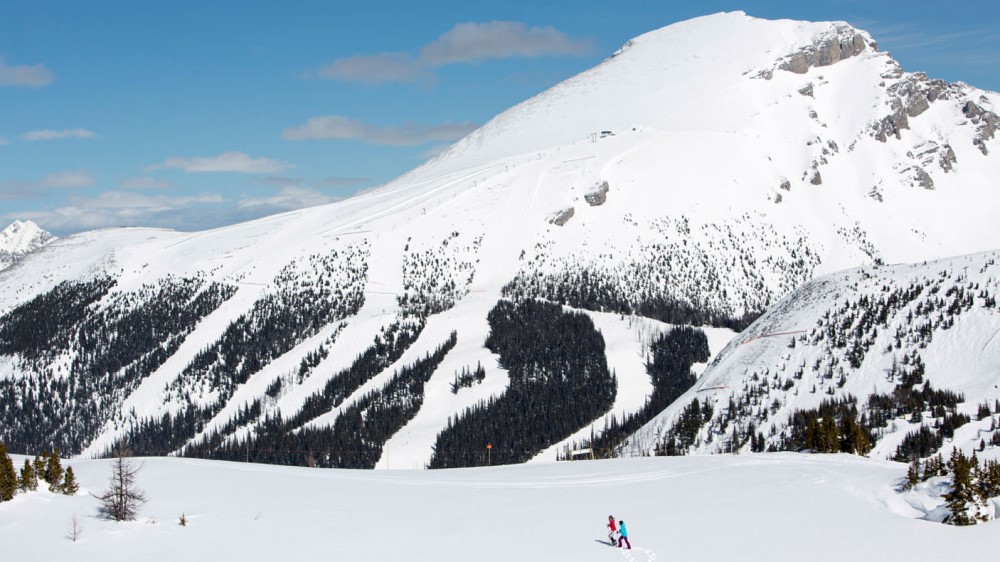 Pistes van Mt. Norquay in Alberta.